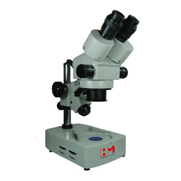 HM L MS SI Stereo Microscope